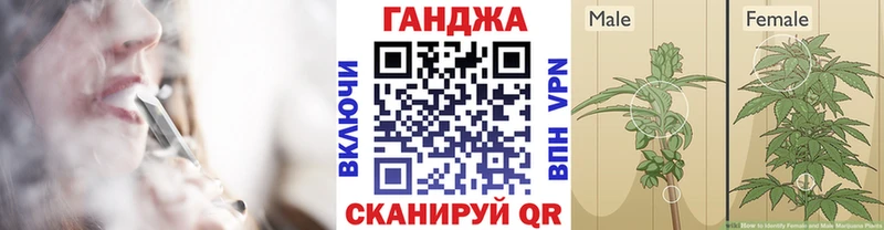 Виды наркотиков купить Пудож АМФЕТАМИН  A-PVP  Cocaine  ГАШ  Меф  Бошки Шишки 