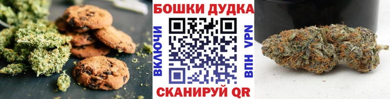 МЕГА маркетплейс  darknet телеграм  Печенье с ТГК марихуана  Пудож 