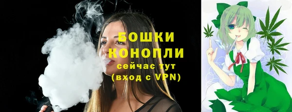 spice Михайлов