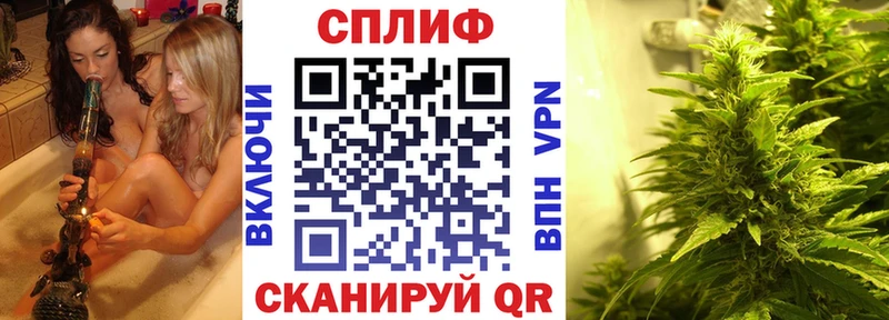 цена наркотик  Пудож  МЕГА онион  Канабис планчик 